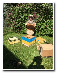 Spotkanie z pszczelarzem